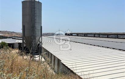 Balıkesir Yeniköyde satılık Çiftlik