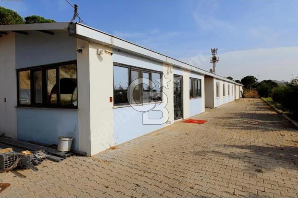 Balıkesir Yeniköyde satılık Çiftlik