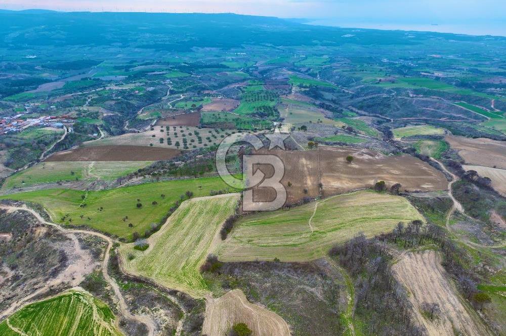 Çanakkale Merkez Yağcılar 46.399m2