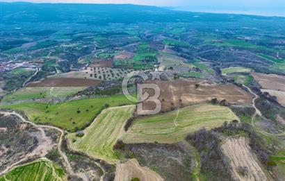 Çanakkale Merkez Yağcılar 46.399m2