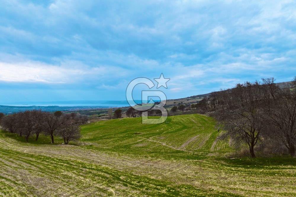 Çanakkale Merkez Yağcılar 46.399m2
