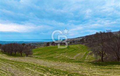 Çanakkale Merkez Yağcılar 46.399m2