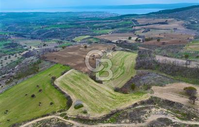 Çanakkale Merkez Yağcılar 46.399m2