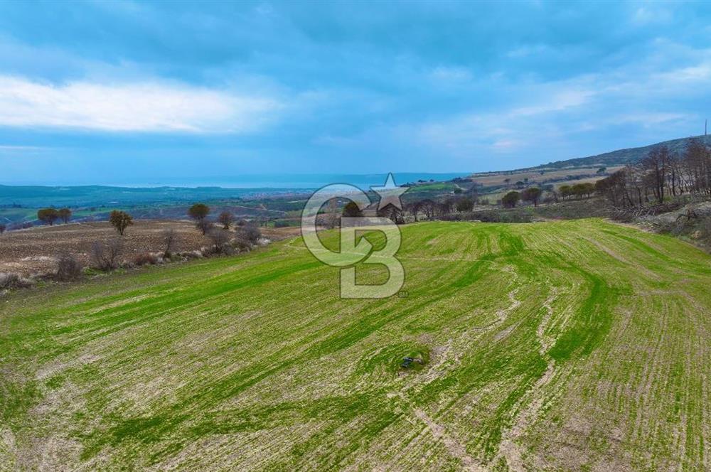 Çanakkale Merkez Yağcılar 46.399m2