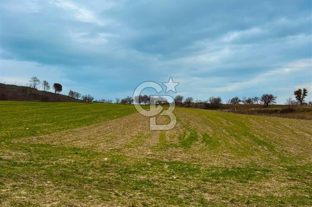 Çanakkale Merkez Yağcılar 46.399m2