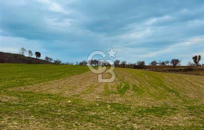 Çanakkale Merkez Yağcılar 46.399m2