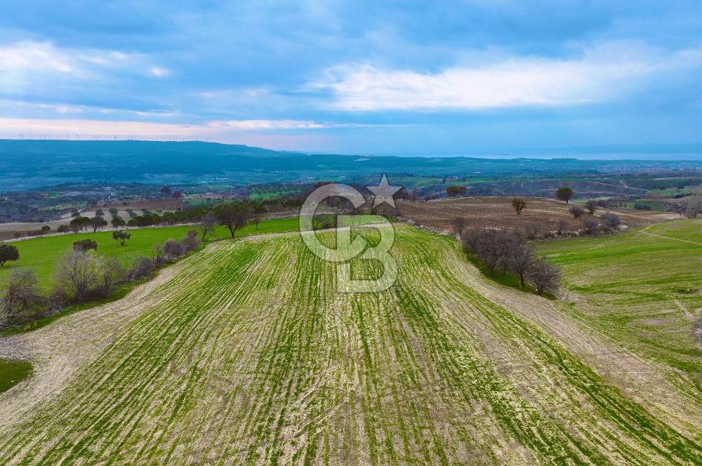 Çanakkale Merkez Yağcılar 46.399m2