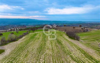 Çanakkale Merkez Yağcılar 46.399m2