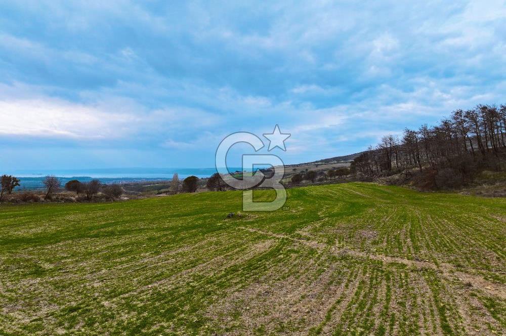 Çanakkale Merkez Yağcılar 46.399m2