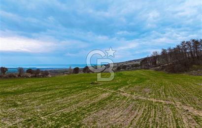 Çanakkale Merkez Yağcılar 46.399m2