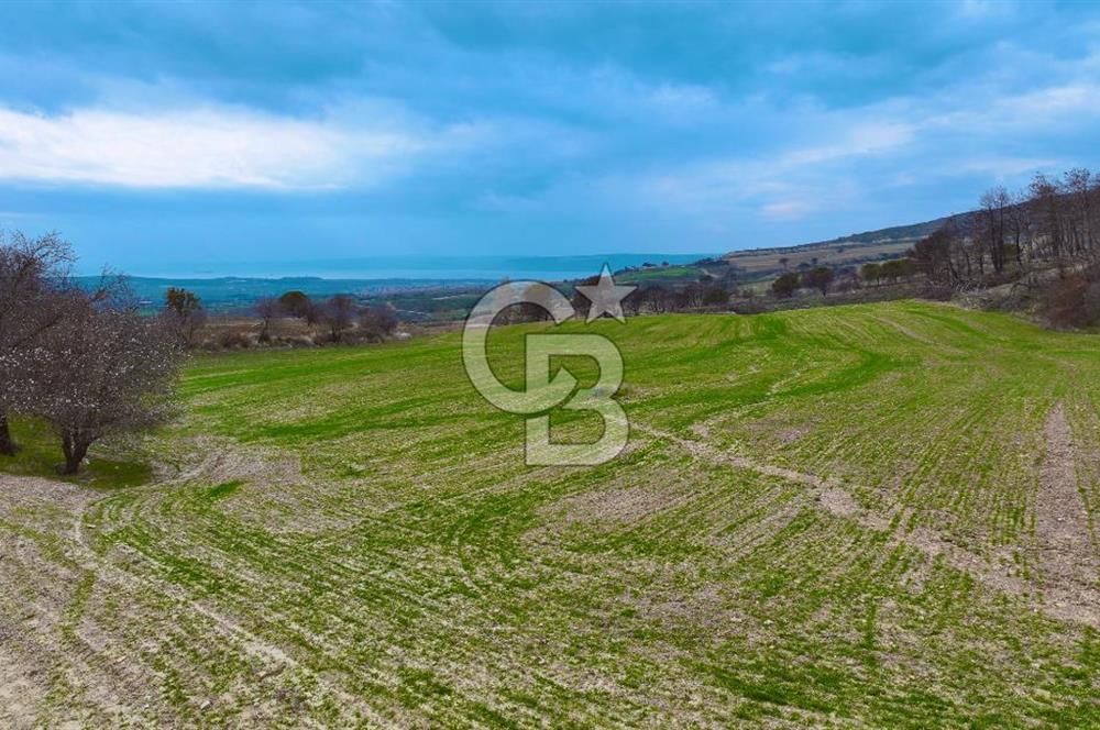 Çanakkale Merkez Yağcılar 46.399m2