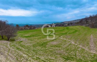 Çanakkale Merkez Yağcılar 46.399m2