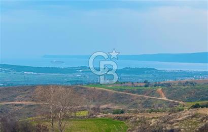 Çanakkale Merkez Yağcılar 46.399m2