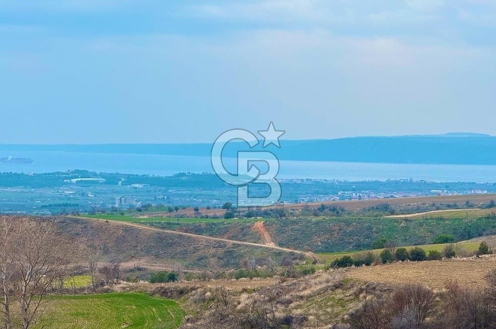 Çanakkale Merkez Yağcılar 46.399m2