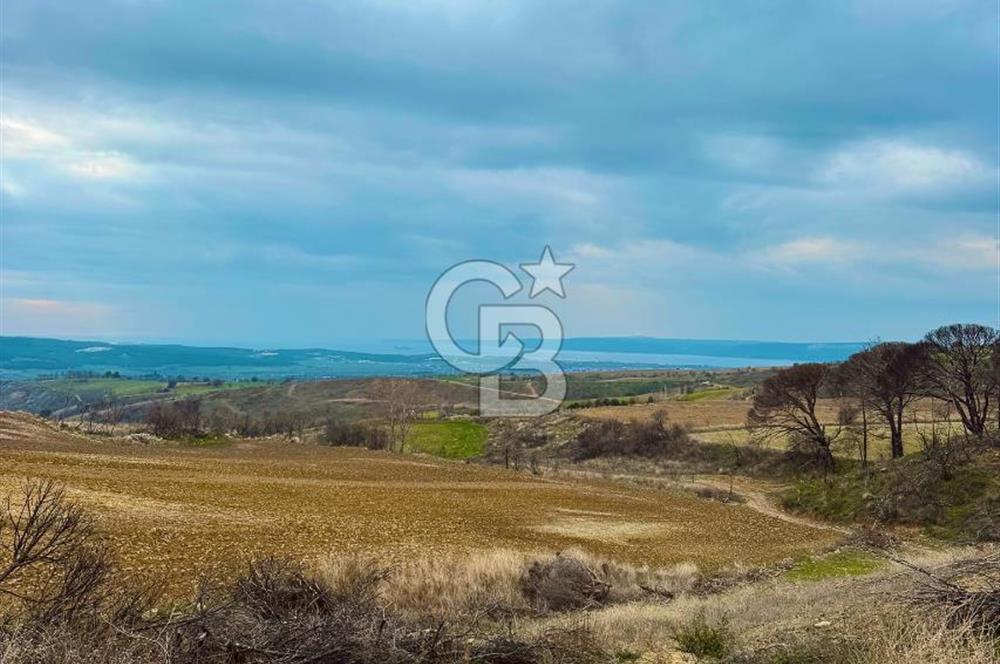 Çanakkale Merkez Yağcılar 46.399m2