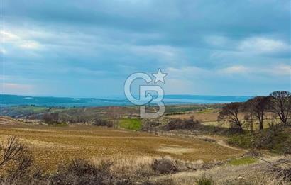 Çanakkale Merkez Yağcılar 46.399m2