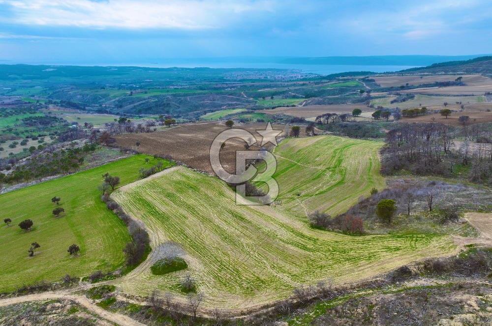 Çanakkale Merkez Yağcılar 46.399m2