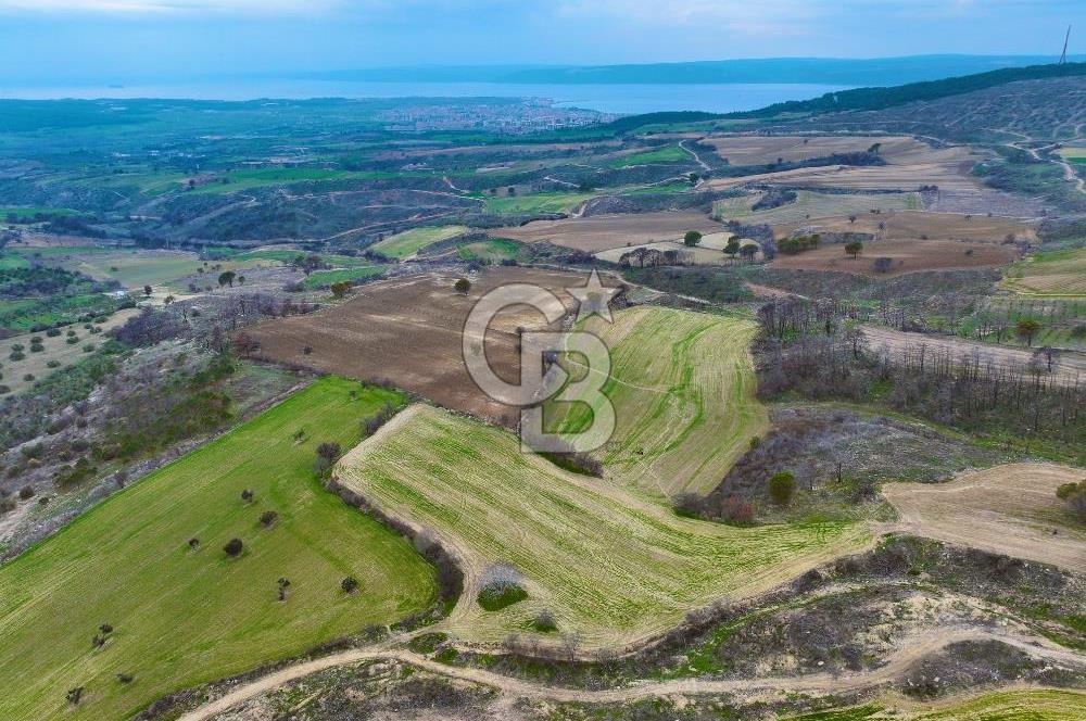 Çanakkale Merkez Yağcılar 46.399m2