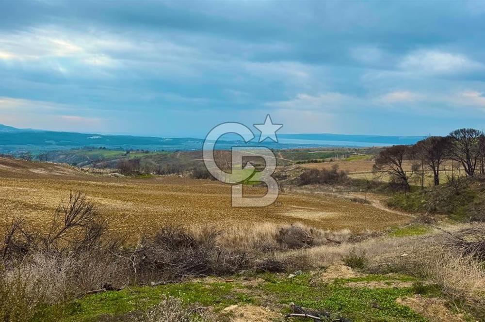 Çanakkale Merkez Yağcılar 46.399m2