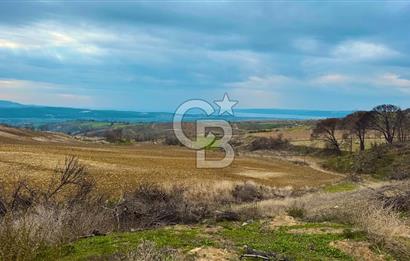 Çanakkale Merkez Yağcılar 46.399m2