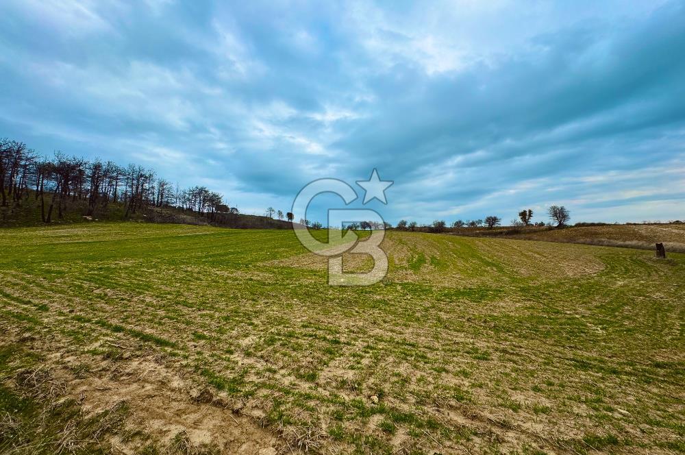 Çanakkale Merkez Yağcılar 46.399m2