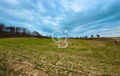 Çanakkale Merkez Yağcılar 46.399m2