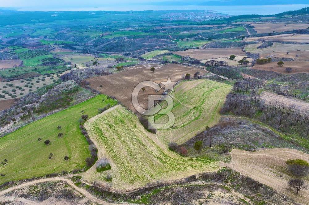 Çanakkale Merkez Yağcılar 46.399m2