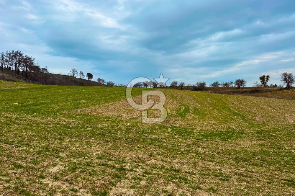 Çanakkale Merkez Yağcılar 46.399m2