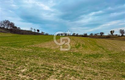 Çanakkale Merkez Yağcılar 46.399m2