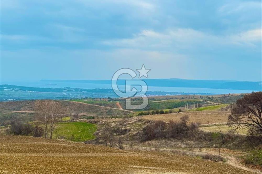 Çanakkale Merkez Yağcılar 46.399m2
