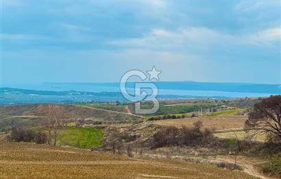 Çanakkale Merkez Yağcılar 46.399m2
