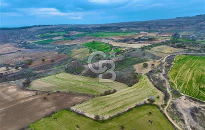 Çanakkale Merkez Yağcılar 46.399m2