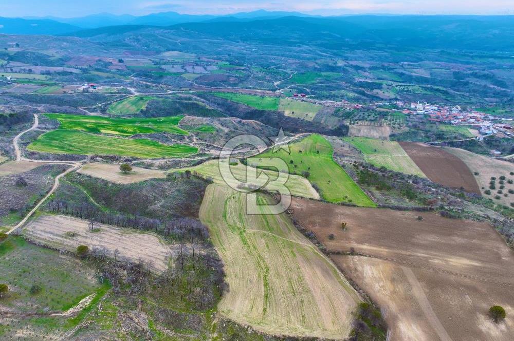 Çanakkale Merkez Yağcılar 46.399m2