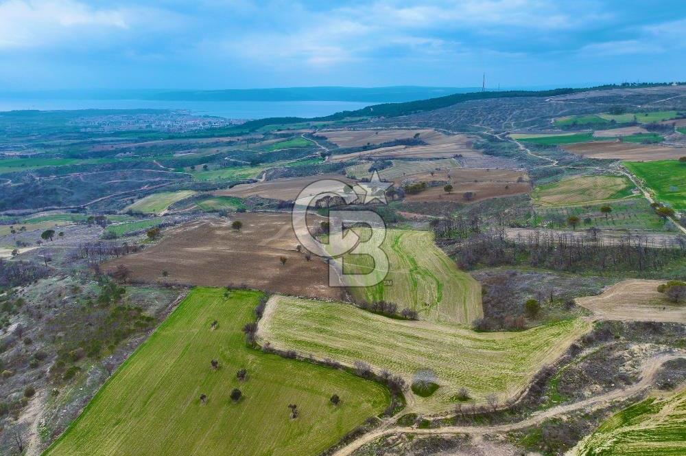 Çanakkale Merkez Yağcılar 46.399m2