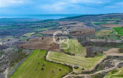 Çanakkale Merkez Yağcılar 46.399m2