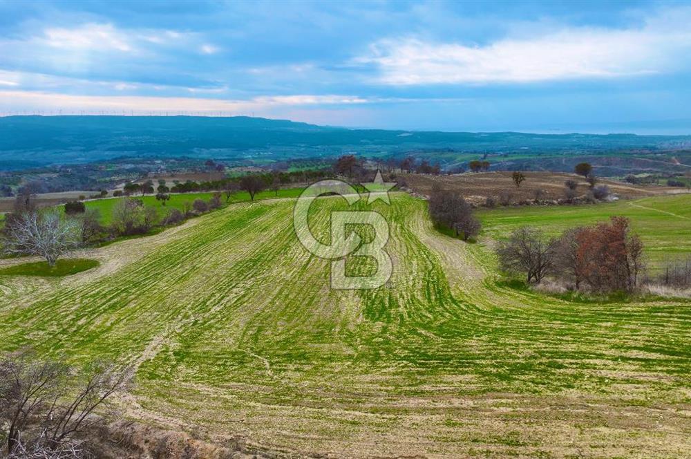 Çanakkale Merkez Yağcılar 46.399m2