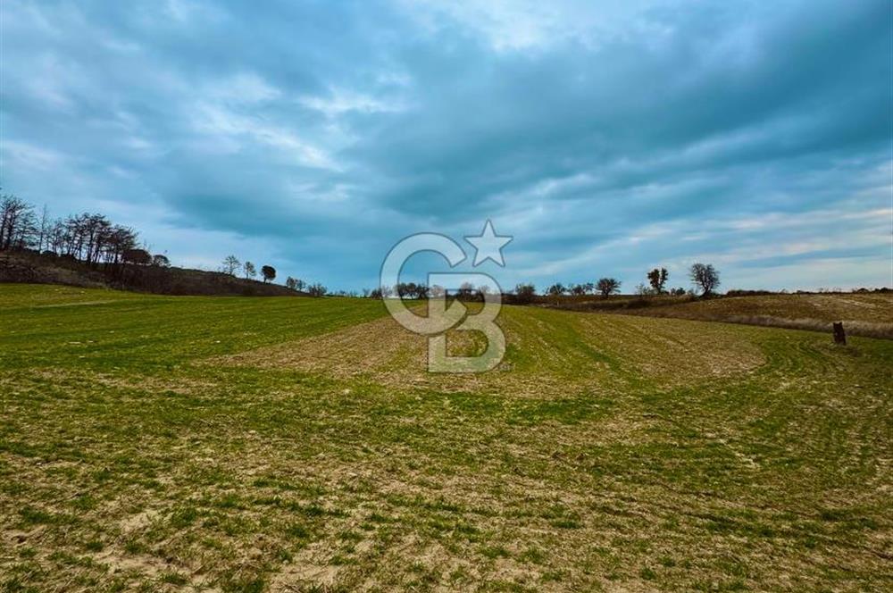 Çanakkale Merkez Yağcılar 46.399m2