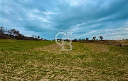 Çanakkale Merkez Yağcılar 46.399m2