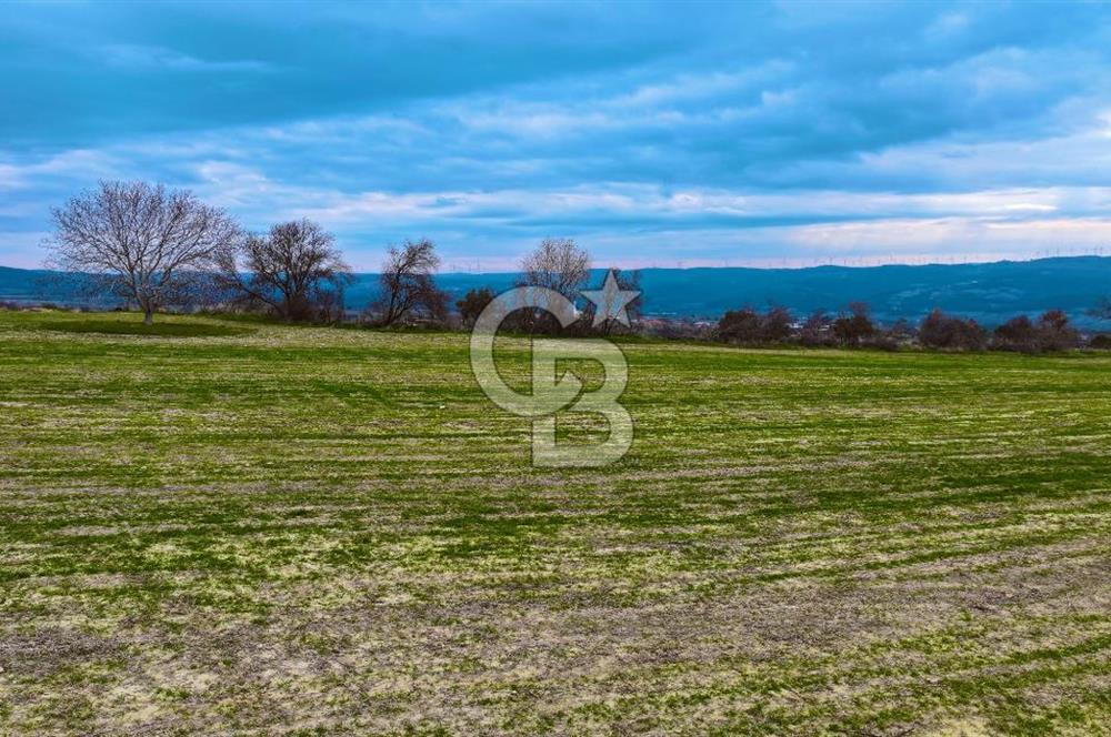 Çanakkale Merkez Yağcılar 46.399m2