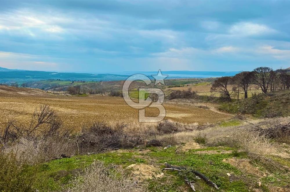 Çanakkale Merkez Yağcılar 46.399m2