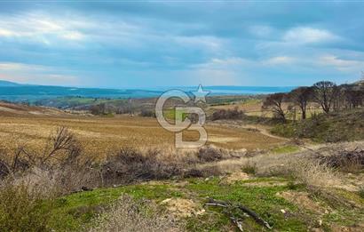 Çanakkale Merkez Yağcılar 46.399m2