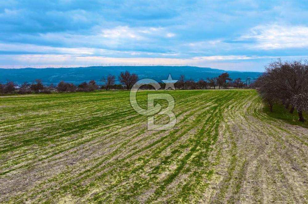 Çanakkale Merkez Yağcılar 46.399m2