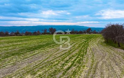 Çanakkale Merkez Yağcılar 46.399m2