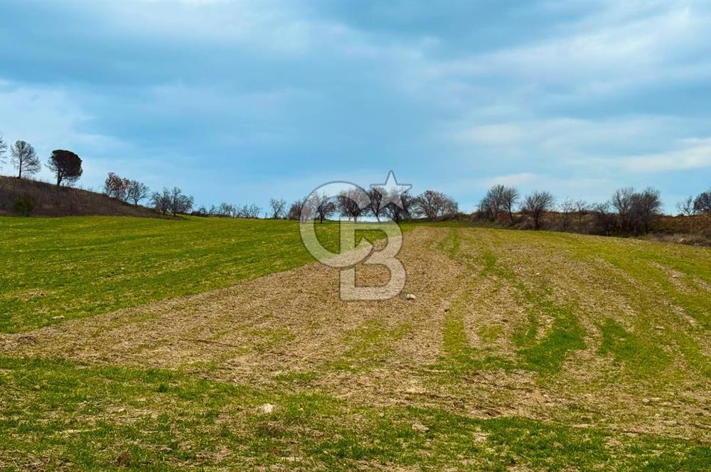 Çanakkale Merkez Yağcılar 46.399m2