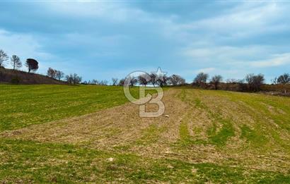 Çanakkale Merkez Yağcılar 46.399m2