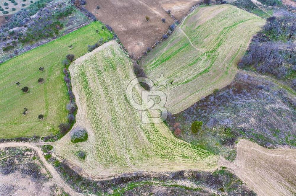 Çanakkale Merkez Yağcılar 46.399m2
