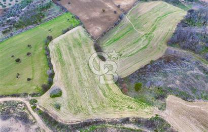 Çanakkale Merkez Yağcılar 46.399m2