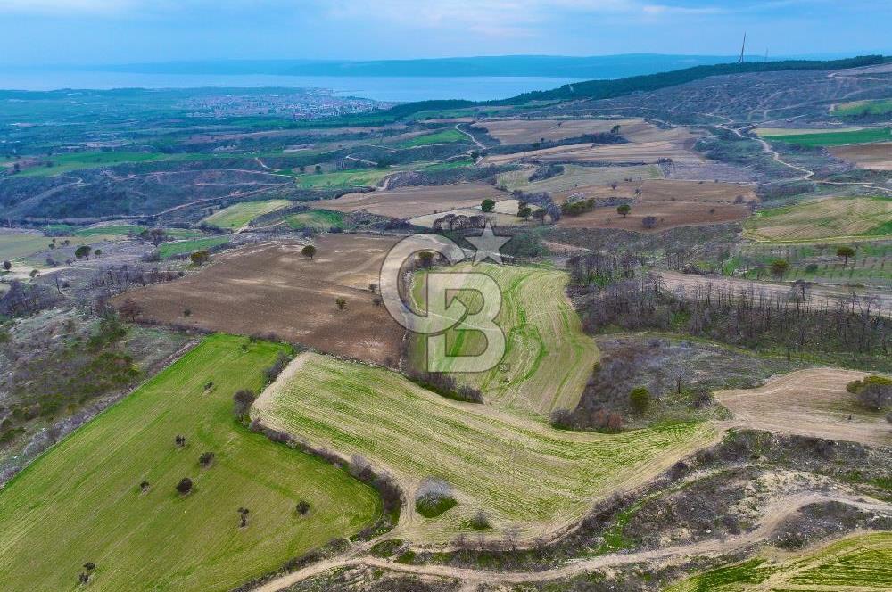 Çanakkale Merkez Yağcılar 46.399m2