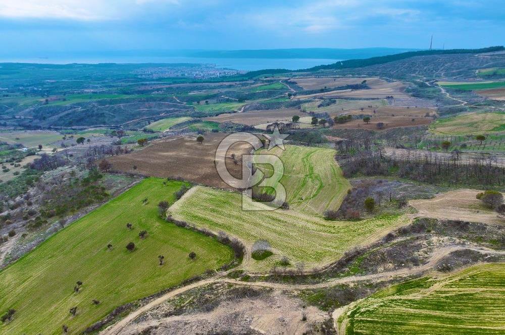 Çanakkale Merkez Yağcılar 46.399m2