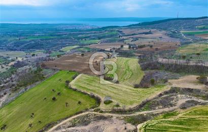 Çanakkale Merkez Yağcılar 46.399m2